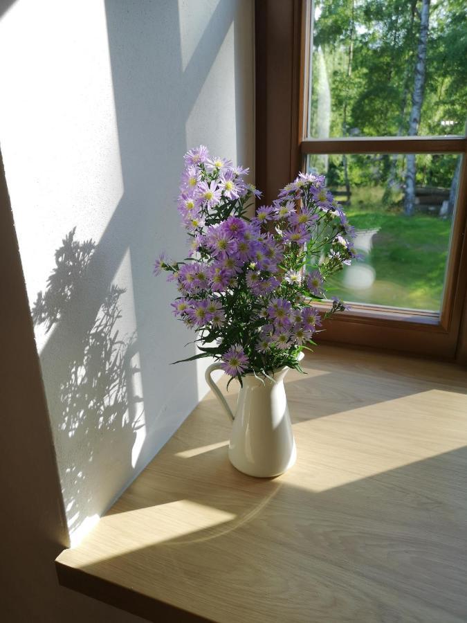 Na Jeleni Stezce Villa Chřibská Exteriör bild